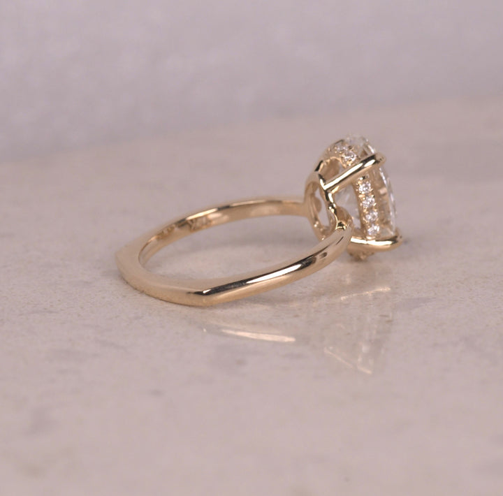 Oval Cut Hidden Halo Diamond Euroshank Ring