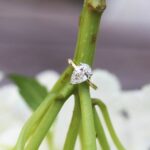 Fancy 3.00 carat Pear Shape Diamond Solitaire Engagement Ring 2-Tone Solid 14k Yellow Gold Ring